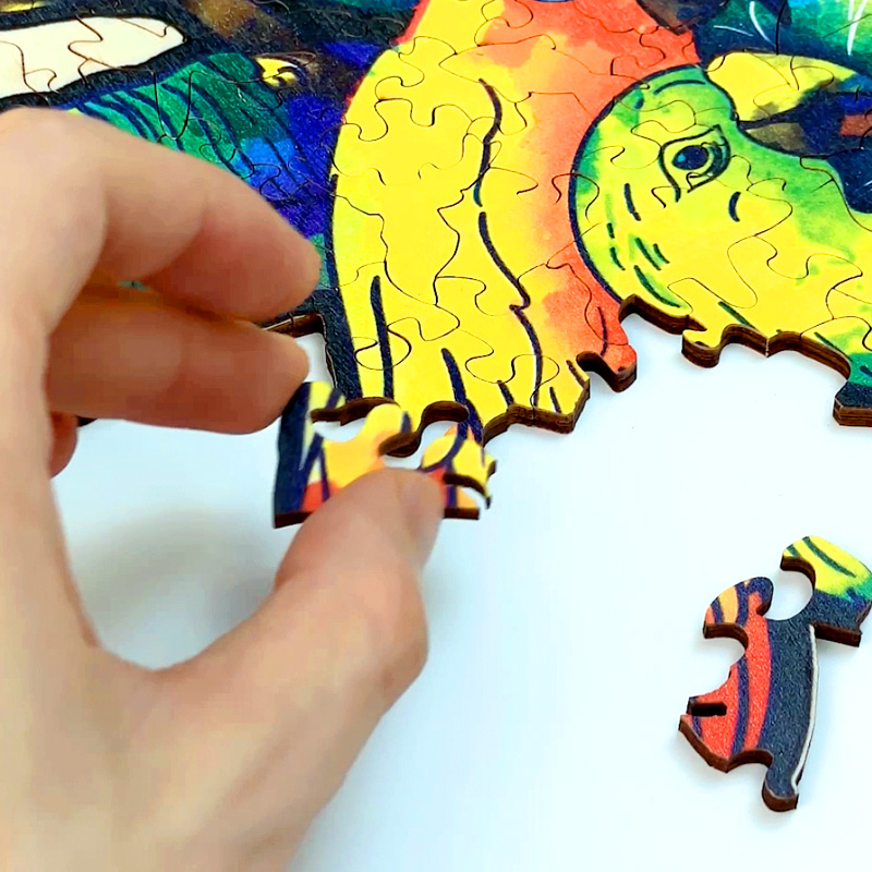 Parrot Wooden Jigsaw Puzzle - aimpuzzle