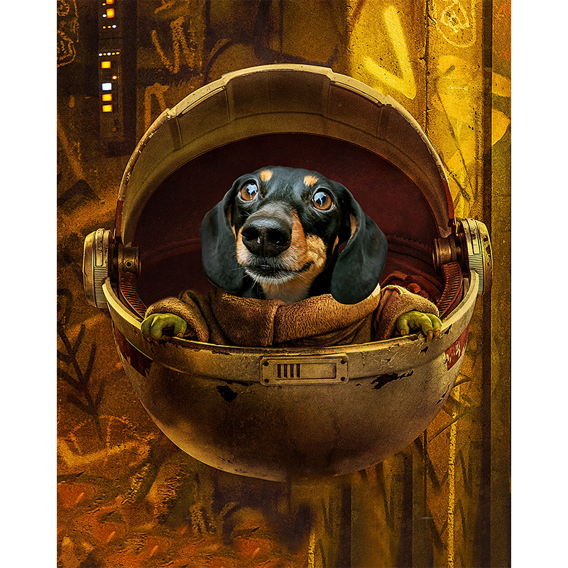 Yoda Dachshund Wooden Jigsaw Puzzle - aimpuzzle