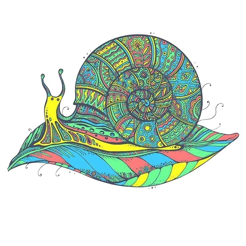 Snail Wooden Jigsaw Puzzle - aimpuzzle