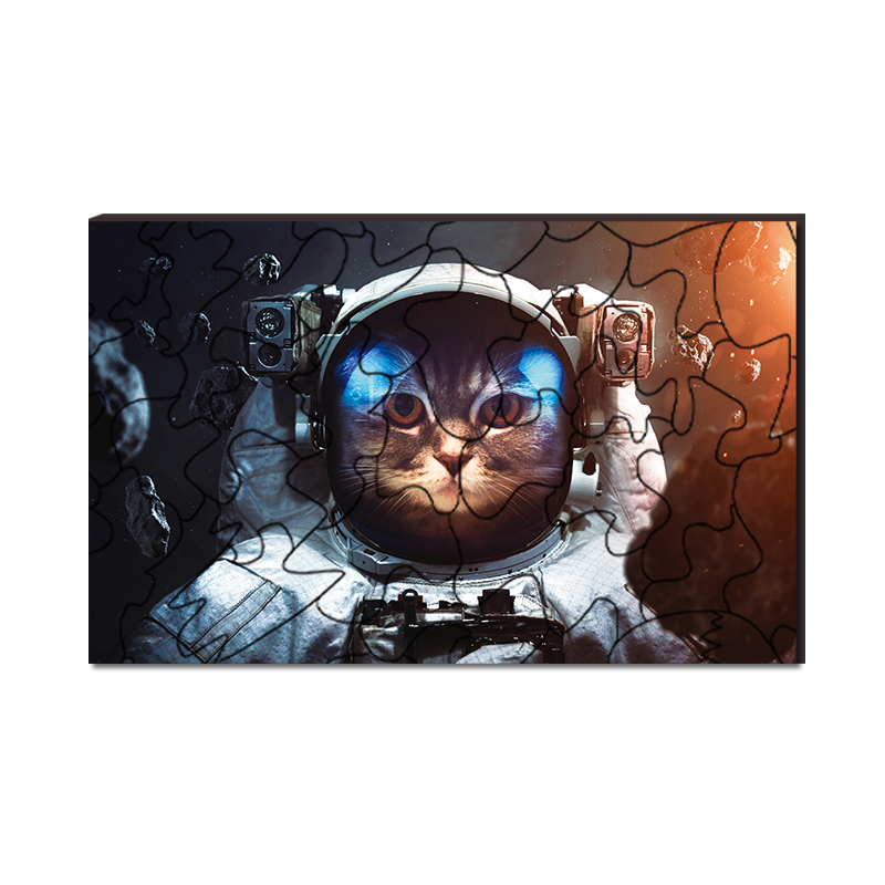 Space Cat Wooden Jigsaw Puzzle - aimpuzzle